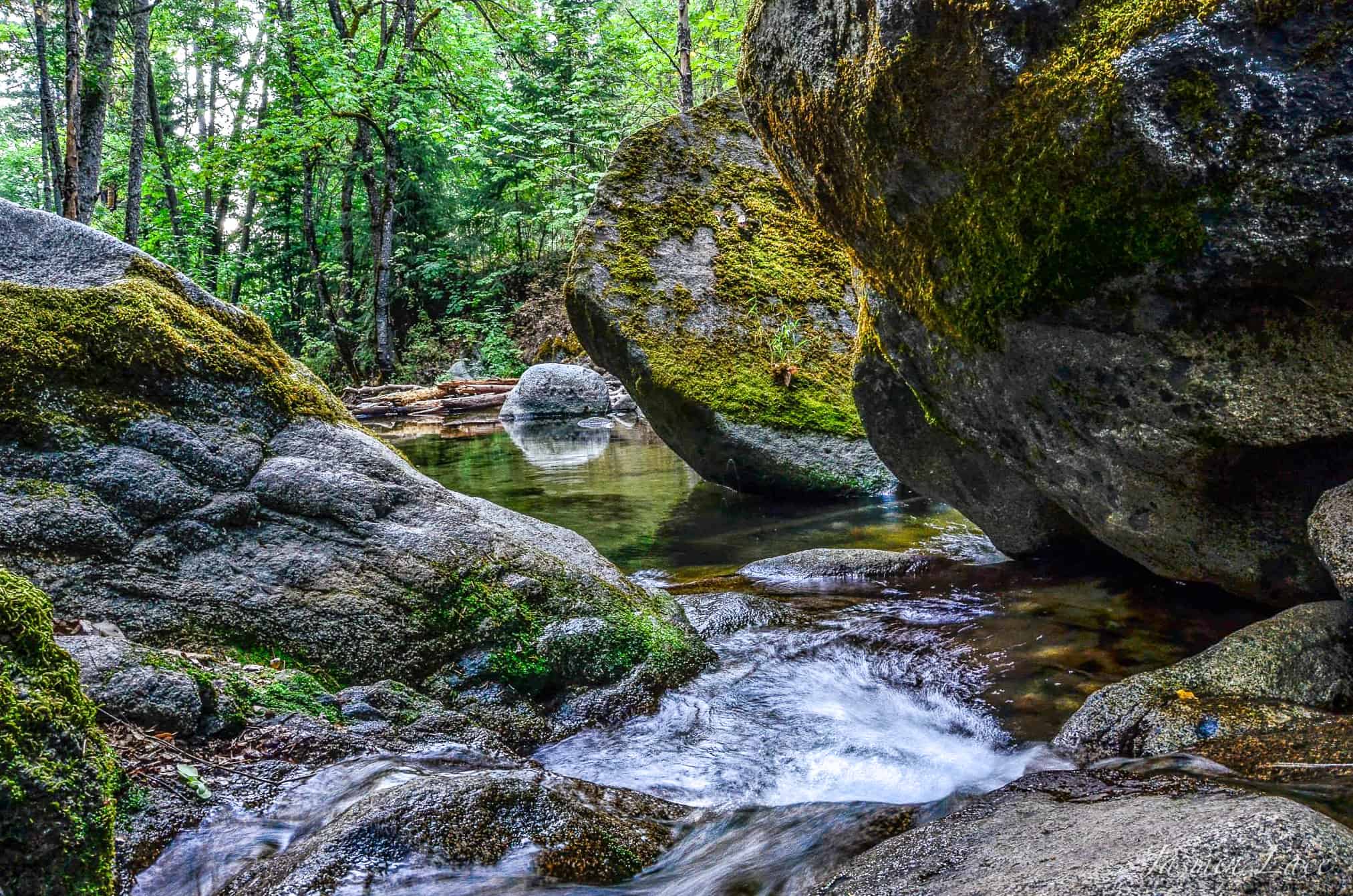 Meeting Love in Yourself - a Weekend Retreat in Ashland