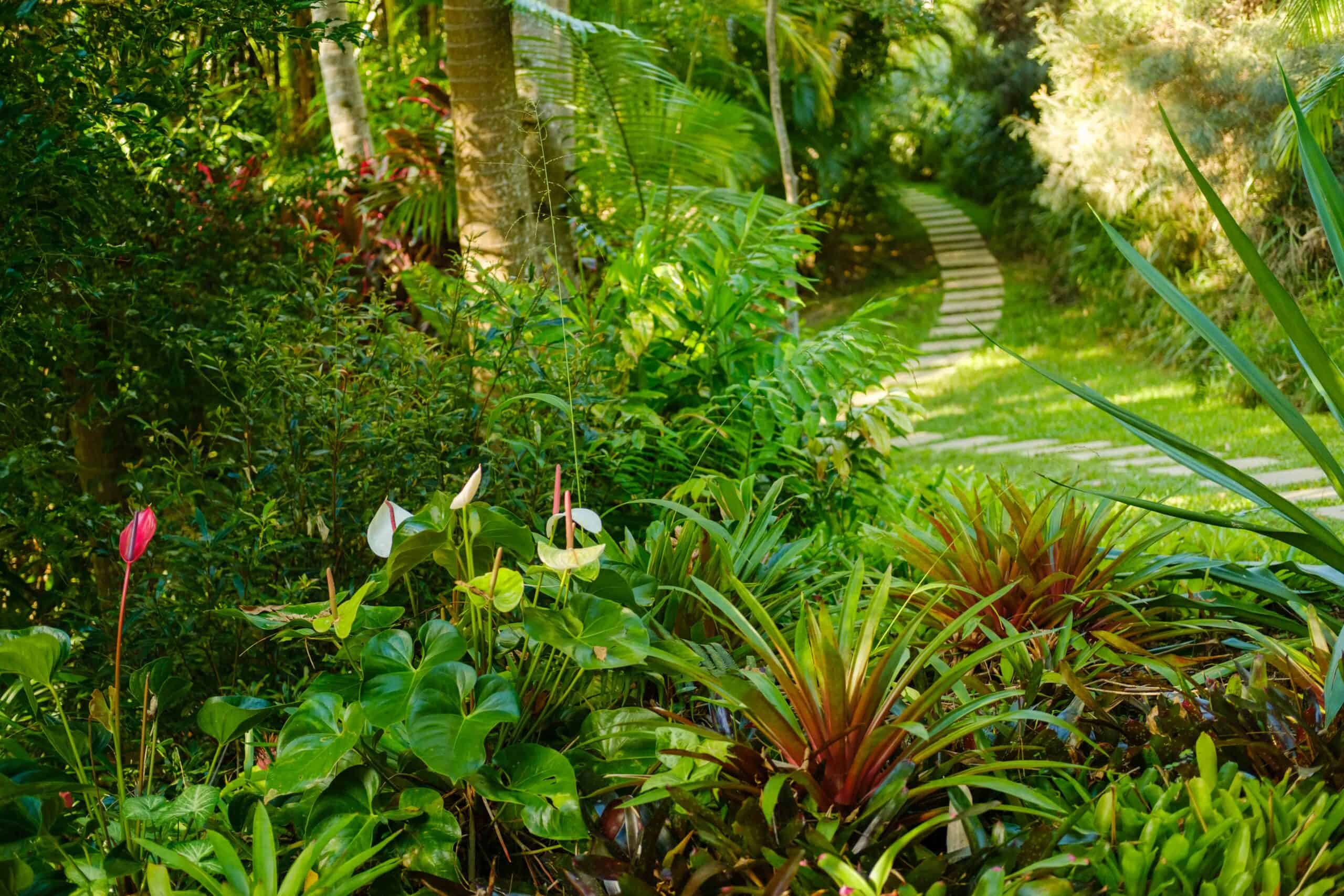 Sacred Heart of Silence - Silent Retreat in Australia
