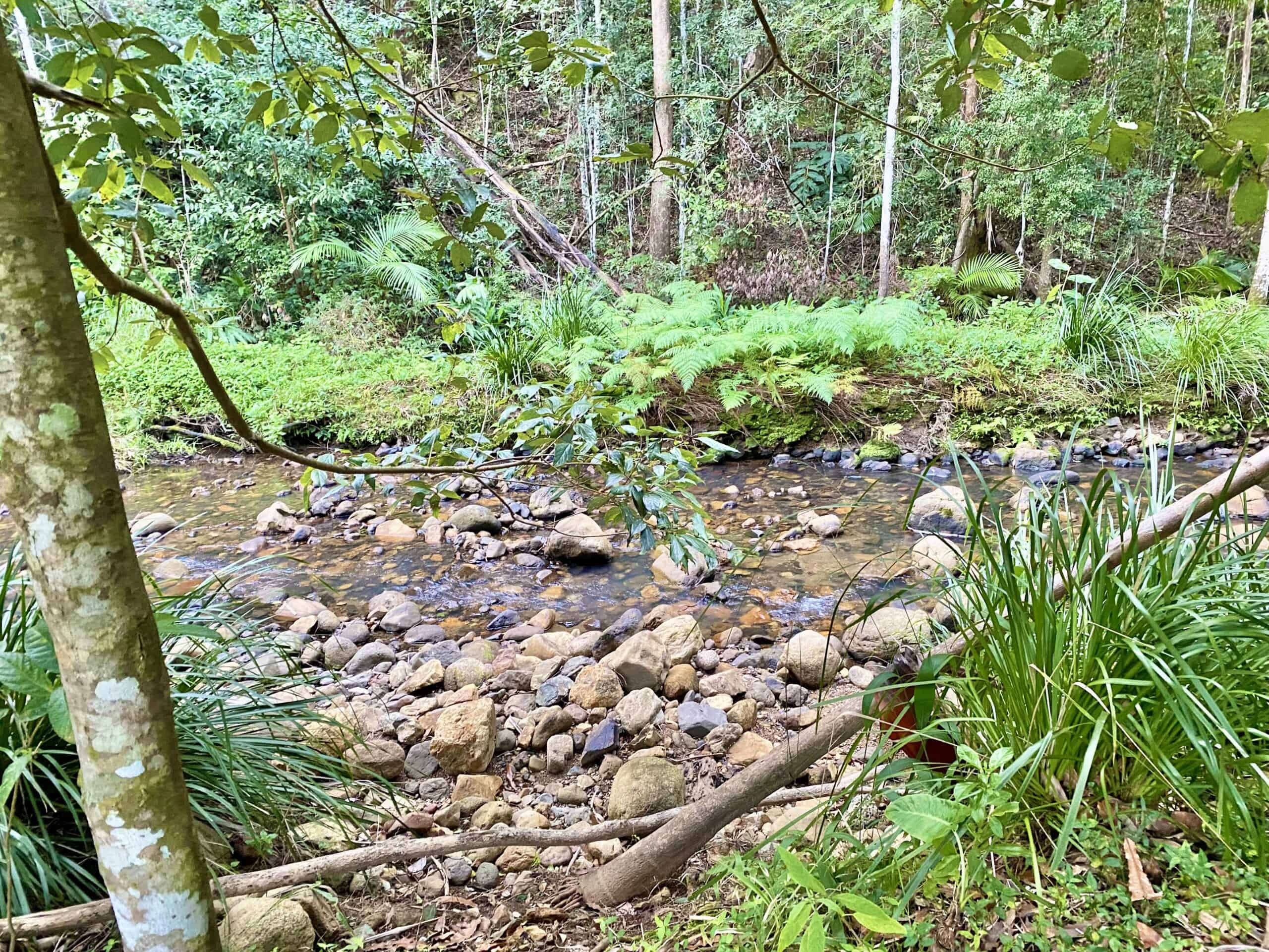 Wisdom Circle Retreat - Northern Rivers, NSW Australia