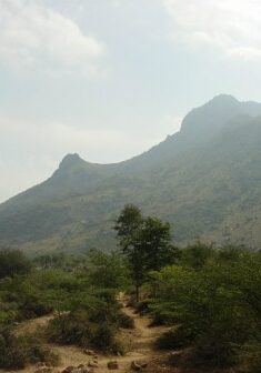 Arunachala